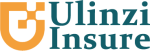 Ulinzi Insure